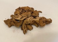 Dry Ginger / Dried Ginger