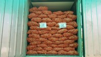 Fresh Ginger