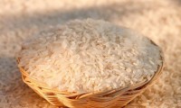 Rice from Thailand