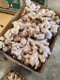 Fresh Ginger