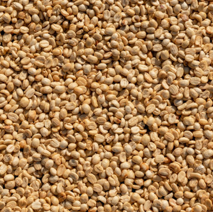 coffee beans