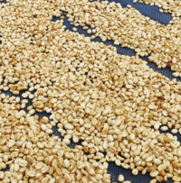 coffee beans