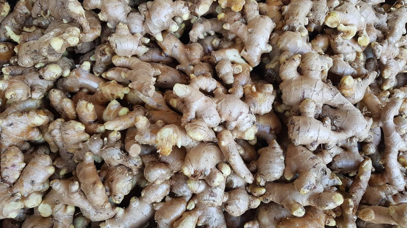 Fresh Ginger