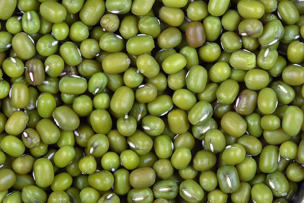 Green Mung bean