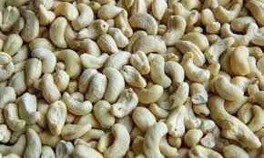 Raw Cashew Nuts Direct From Thailand
