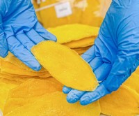 Dried Mango