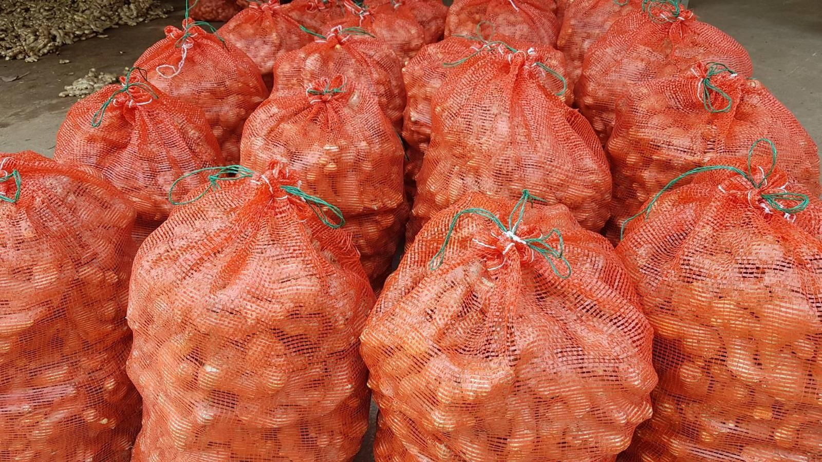 Fresh Ginger
