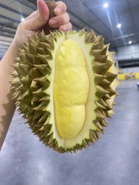 Durian