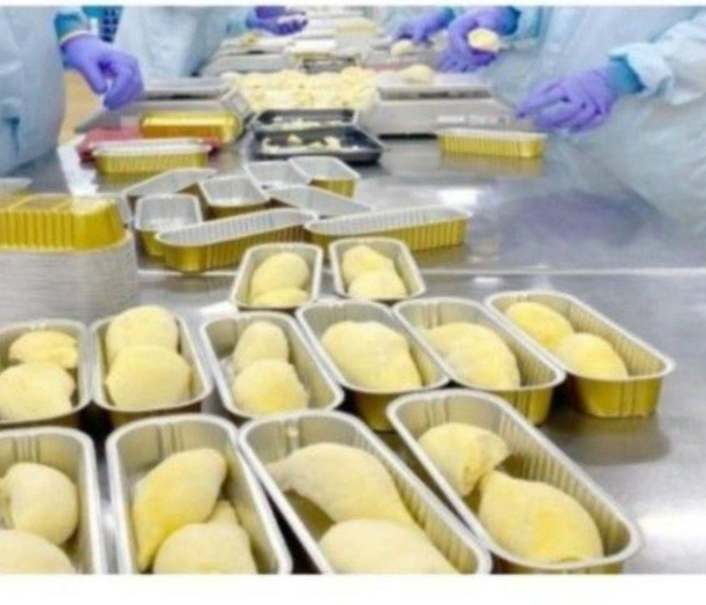 Frozen Durian